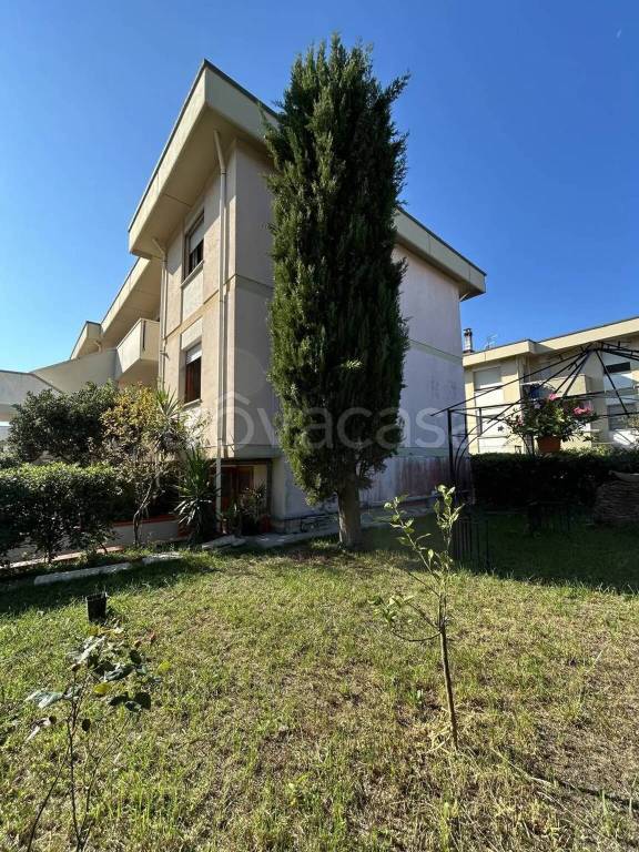 appartamento in vendita a Rosignano Marittimo in zona Vada