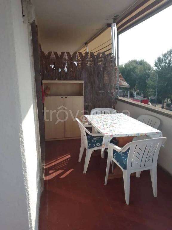 appartamento in vendita a Rosignano Marittimo