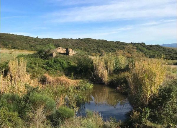 negozio in vendita a Rosignano Marittimo in zona Castiglioncello