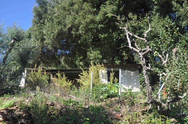 terreno agricolo a Rosignano Marittimo in zona Castelnuovo della Misericordia