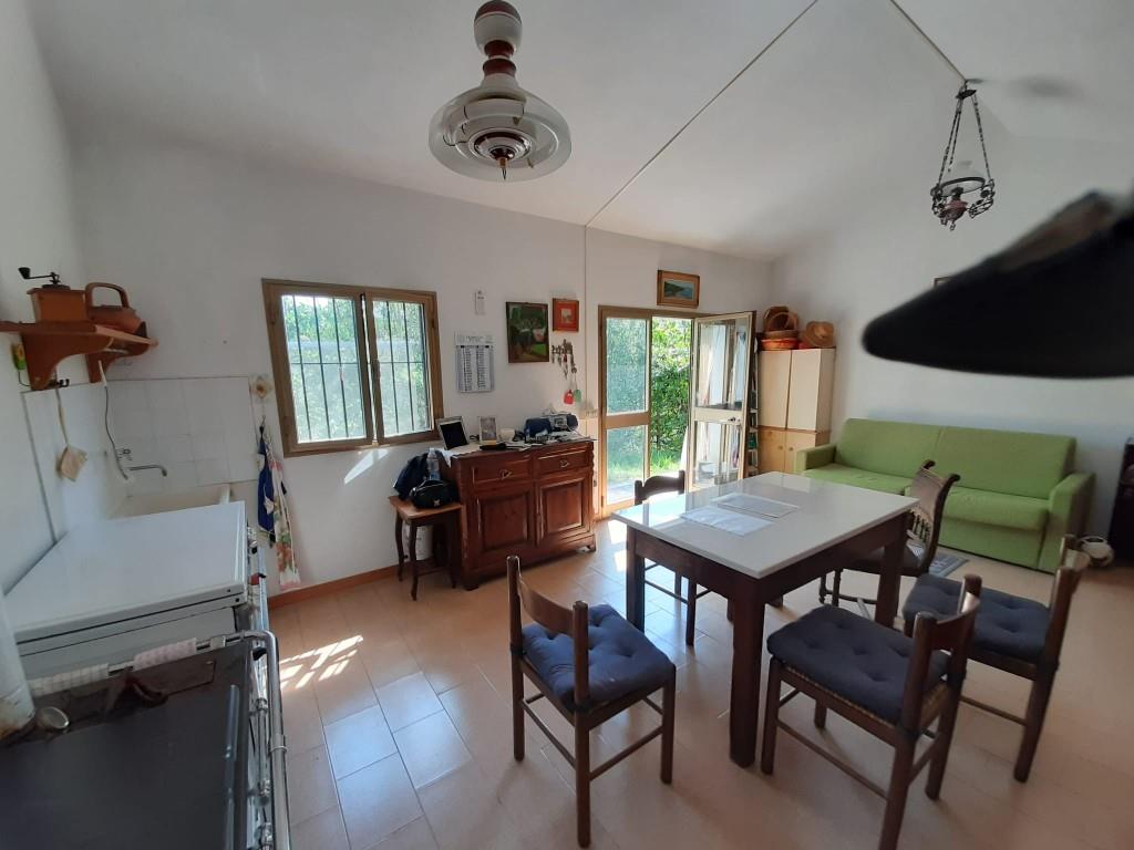 terreno agricolo in vendita a Rosignano Marittimo