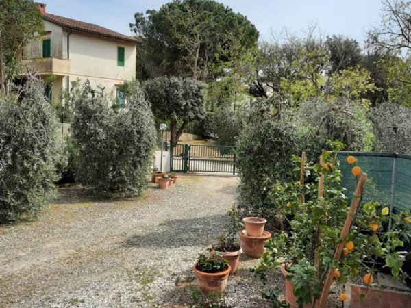 appartamento in vendita a Rosignano Marittimo in zona Castiglioncello