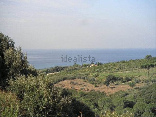 terreno agricolo in vendita a Rosignano Marittimo