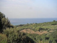 terreno agricolo in vendita a Rosignano Marittimo