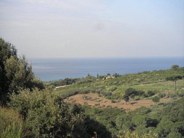 terreno agricolo in vendita a Rosignano Marittimo in zona Gabbro