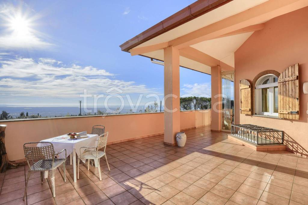 immagine annuncio 0 di 15