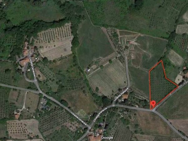 terreno agricolo a Rosignano Marittimo in zona Castelnuovo della Misericordia