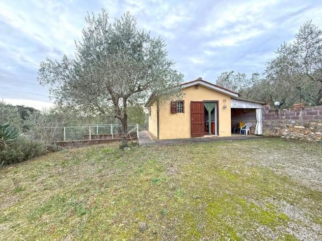 terreno agricolo in vendita a Rosignano Marittimo