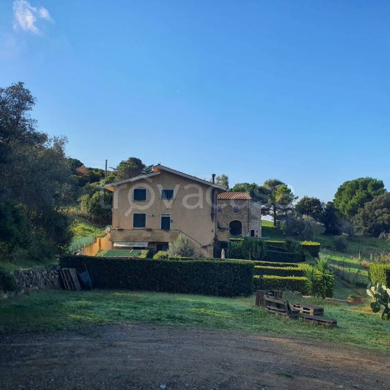 appartamento in vendita a Rosignano Marittimo