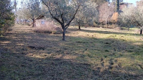 terreno agricolo a Rosignano Marittimo in zona Castelnuovo della Misericordia