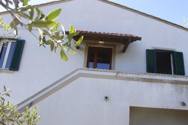 appartamento in vendita a Rosignano Marittimo
