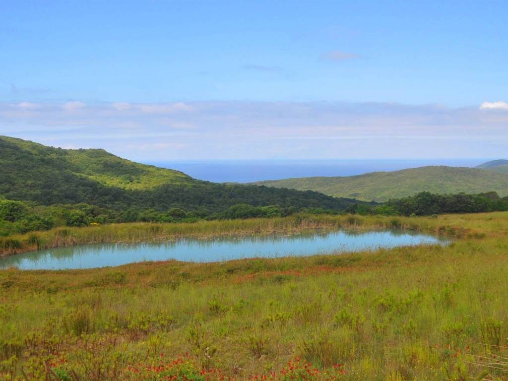 casa indipendente a Rosignano Marittimo in zona Castelnuovo della Misericordia