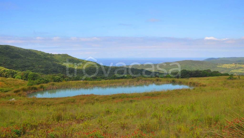 casa indipendente in vendita a Rosignano Marittimo
