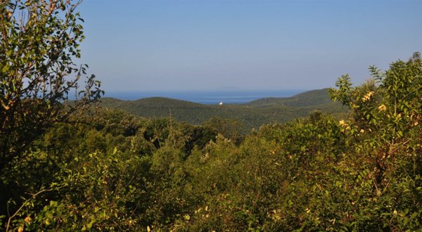 terreno agricolo in vendita a Rosignano Marittimo in zona Nibbiaia