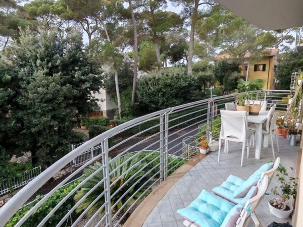 appartamento in vendita a Rosignano Marittimo in zona Castiglioncello