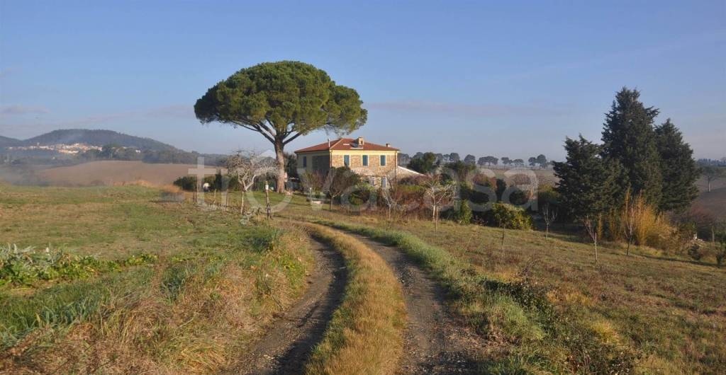 casa indipendente in vendita a Rosignano Marittimo in zona Gabbro