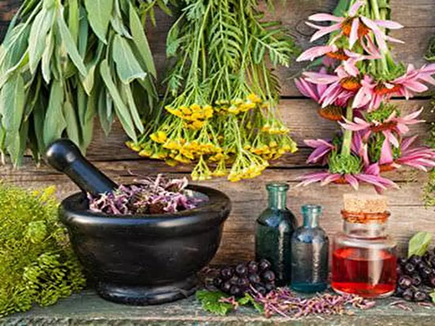 negozio in vendita a Rosignano Marittimo