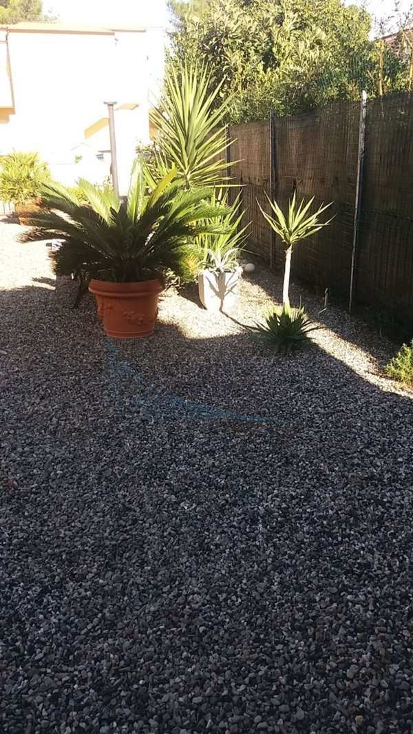 appartamento in vendita a Rosignano Marittimo in zona Vada