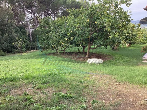 casa indipendente in vendita a Rosignano Marittimo in zona Castiglioncello