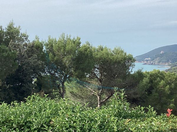 casa indipendente in vendita a Rosignano Marittimo in zona Castiglioncello