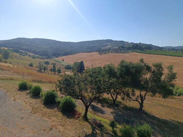 appartamento in vendita a Rosignano Marittimo in zona Gabbro