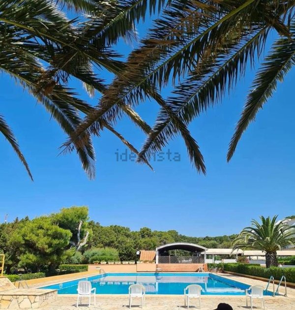 appartamento in vendita a Rosignano Marittimo