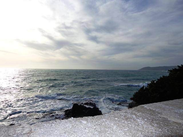 terreno agricolo in vendita a Rosignano Marittimo in zona Castiglioncello
