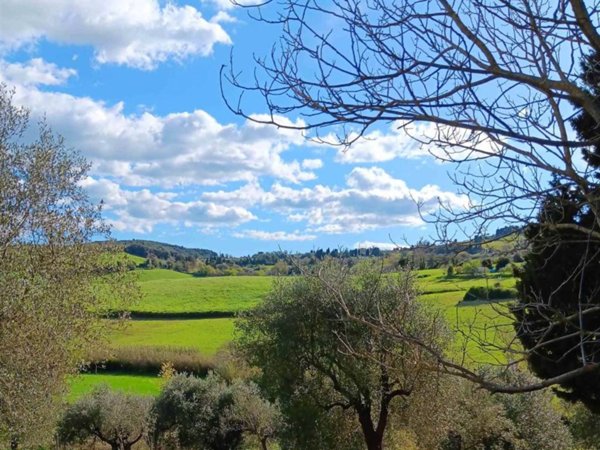 casa indipendente in vendita a Rosignano Marittimo