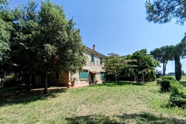 esavano in vendita a Rosignano Marittimo