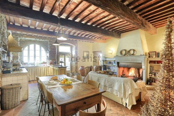 esavano in vendita a Rosignano Marittimo