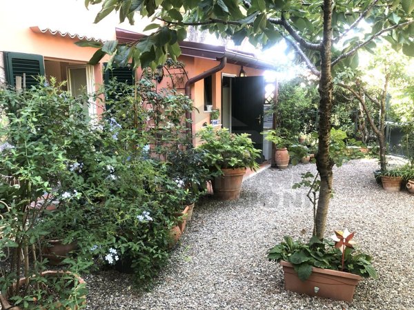 casa indipendente in vendita a Rosignano Marittimo in zona Castiglioncello