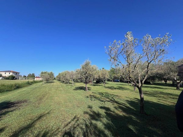 terreno agricolo in vendita a Rosignano Marittimo in zona Vada