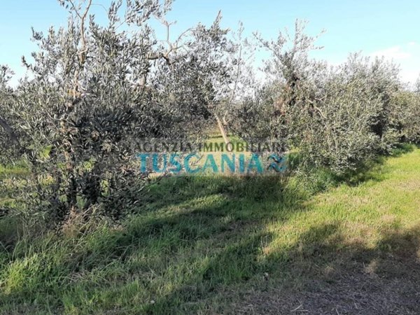 terreno agricolo in vendita a Rosignano Marittimo in zona Rosignano Solvay