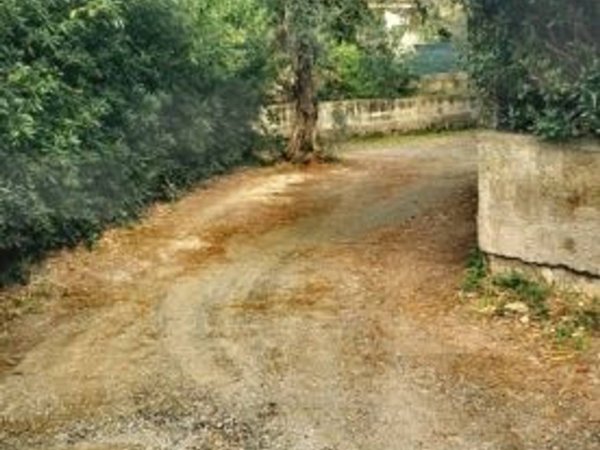 appartamento in vendita a Rosignano Marittimo in zona Castiglioncello
