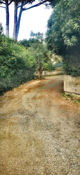 appartamento in vendita a Rosignano Marittimo in zona Castiglioncello