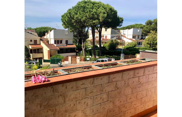 casa indipendente in vendita a Rosignano Marittimo in zona Castiglioncello