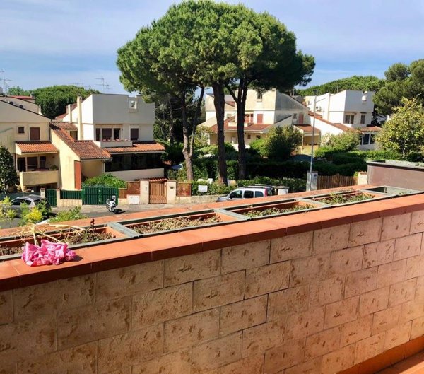 casa indipendente in vendita a Rosignano Marittimo in zona Castiglioncello