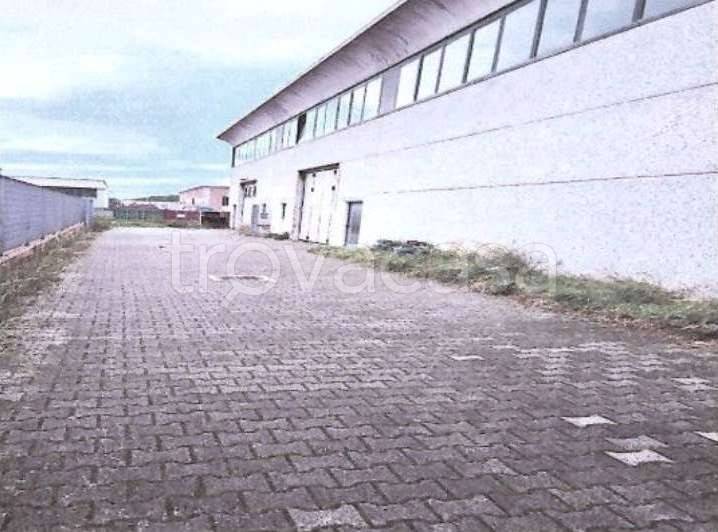 negozio in vendita a Rosignano Marittimo in zona Rosignano Solvay