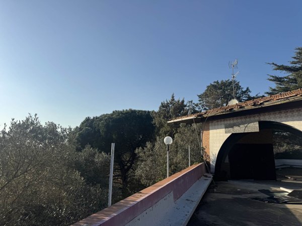 negozio in vendita a Rosignano Marittimo