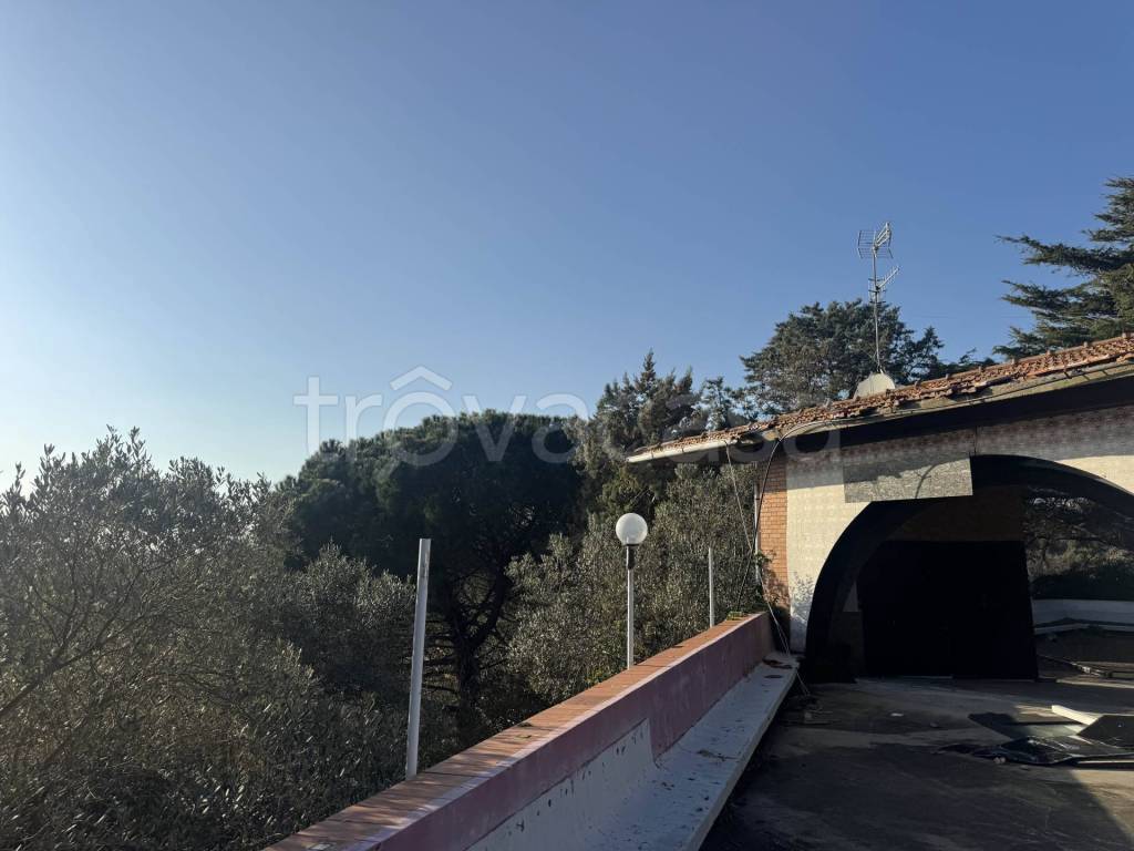 negozio in vendita a Rosignano Marittimo