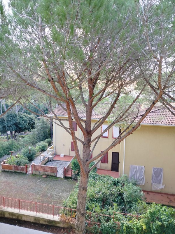 appartamento in vendita a Rosignano Marittimo in zona Castiglioncello