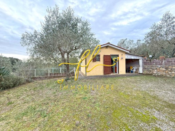 terreno agricolo in vendita a Rosignano Marittimo