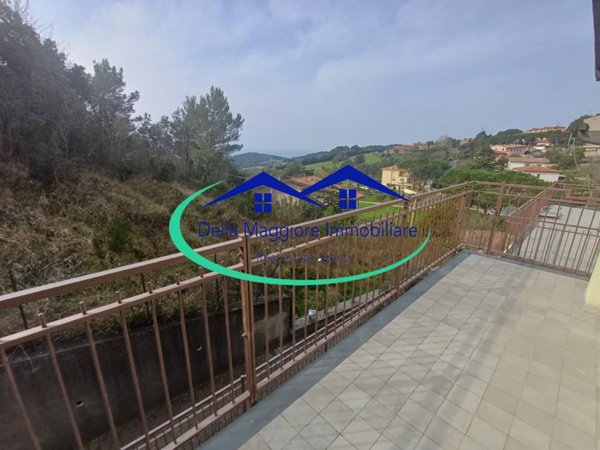 immagine annuncio 0 di 15