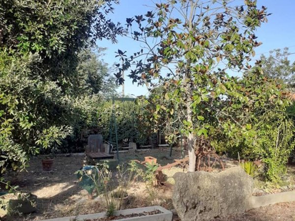 casa indipendente in vendita a Rosignano Marittimo in zona Vada