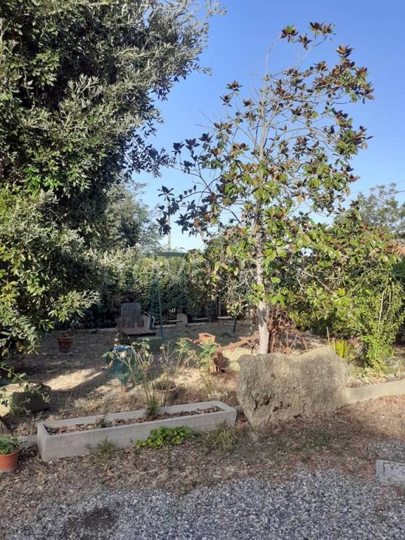 casa indipendente in vendita a Rosignano Marittimo in zona Vada