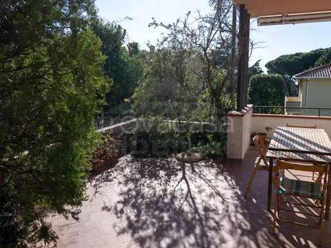 casa indipendente in vendita a Rosignano Marittimo in zona Castiglioncello