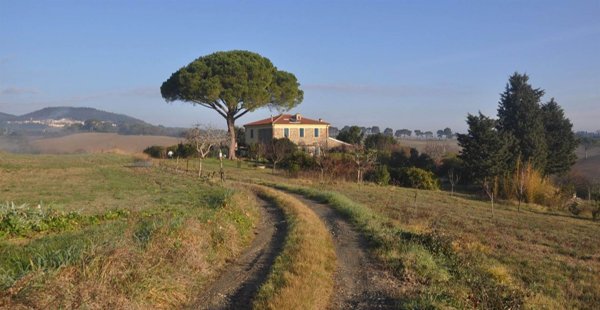 casale in vendita a Rosignano Marittimo in zona Gabbro