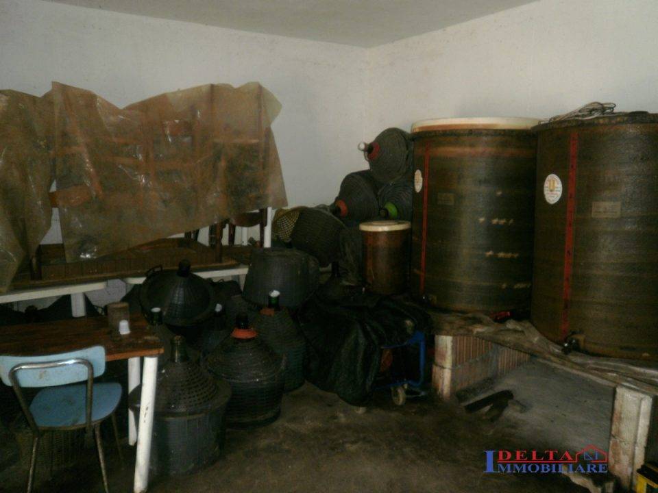 negozio in vendita a Rosignano Marittimo in zona Castelnuovo della Misericordia