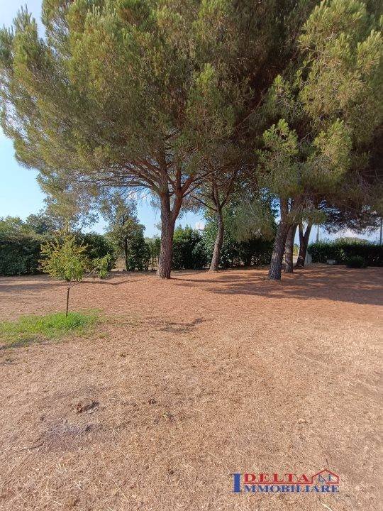 appartamento in vendita a Rosignano Marittimo in zona Vada