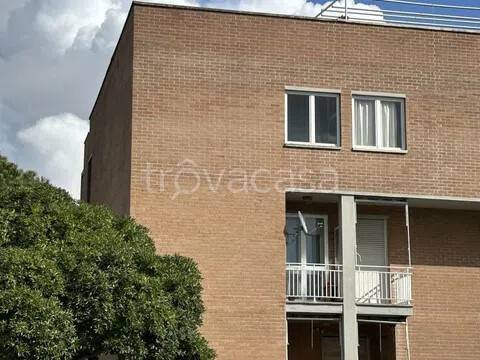 appartamento in vendita a Rosignano Marittimo in zona Rosignano Solvay